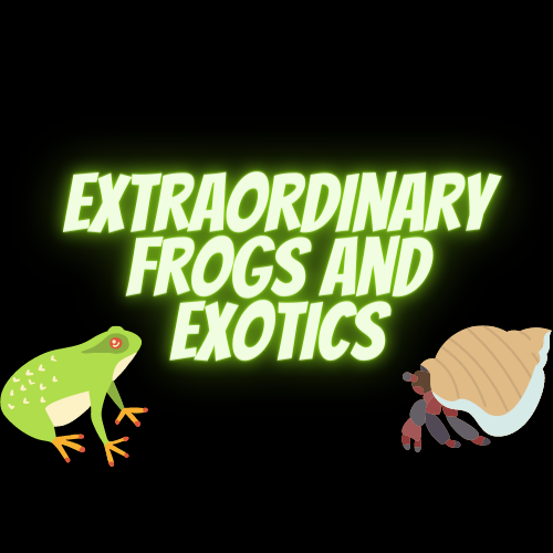 Extraordinary Frogs and Exotics